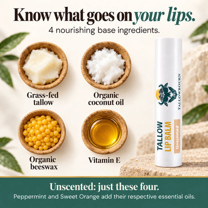 Unscented Tallow Lip Balm beside bowls of tallow, coconut oil, beeswax, and vitamin E