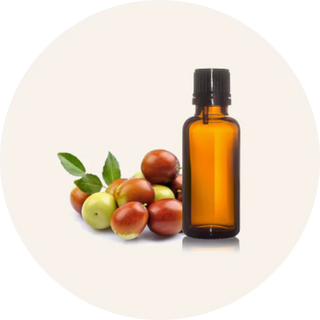 Organic Jojoba Oil