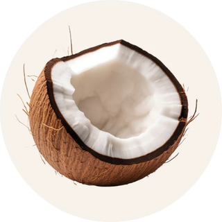 Organic Virgin Coconut Oil