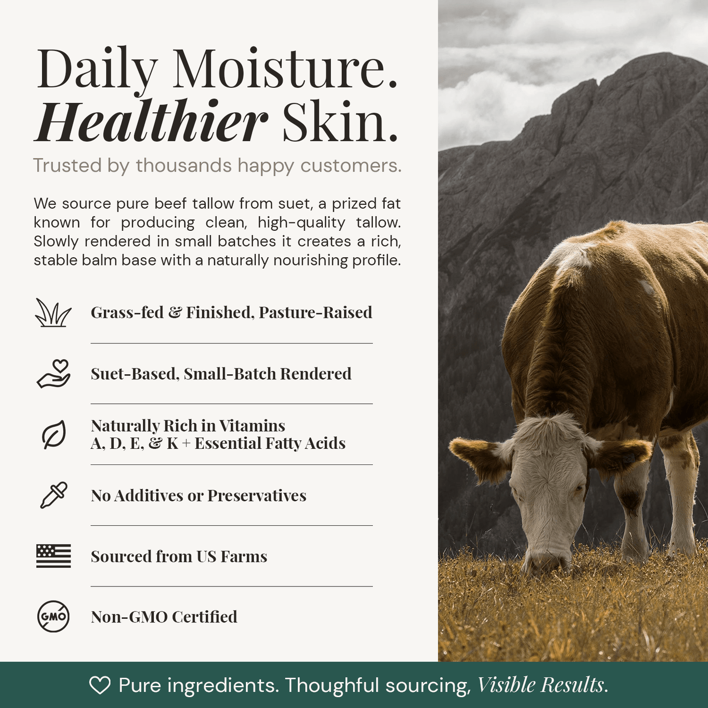 Grass-Fed Tallow Balm for Face & Body - Tallowbourn