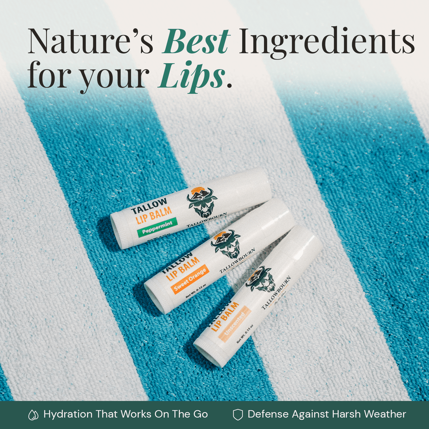 lip-balm-best-ingredients