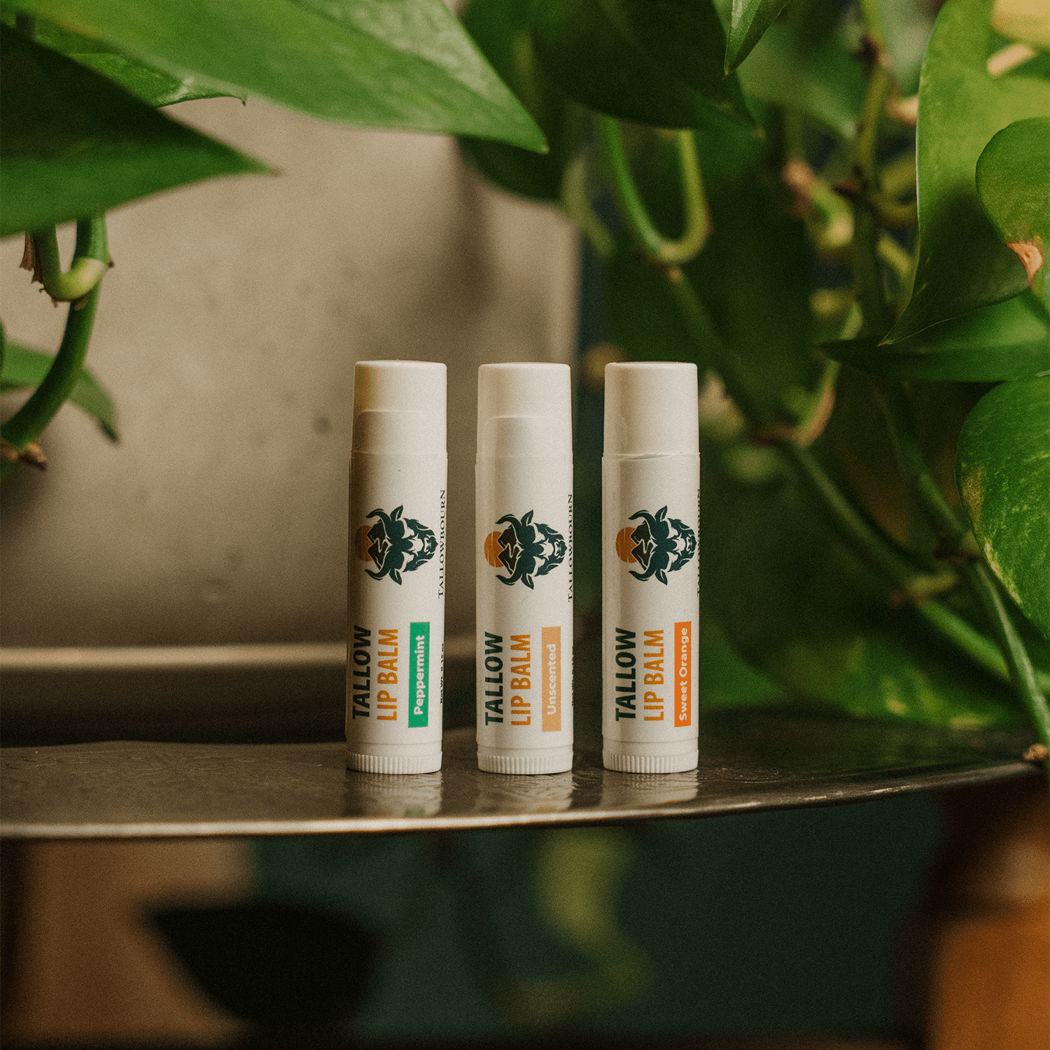 Outdoor Tallow Skincare Kit – Sun Balm, Body Balm, Lip Balm & Soap - Tallowbourn